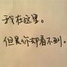 日本国民民主党代表承认其婚外情